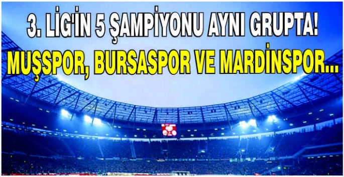 3. Lig’in 5 Şampiyonu aynı grupta! Muşspor, Bursaspor ve Mardinspor…