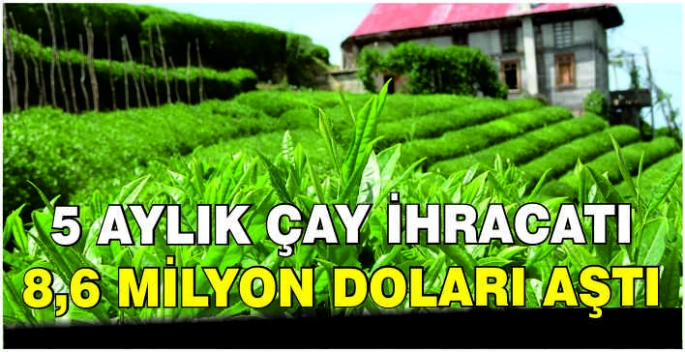 5 aylık çay ihracatı 8,6 milyon doları aştı