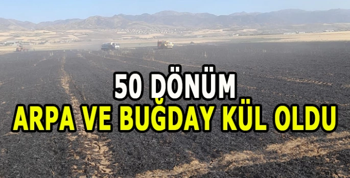 50 Dönüm buğday ve arpa ekili alan yandı