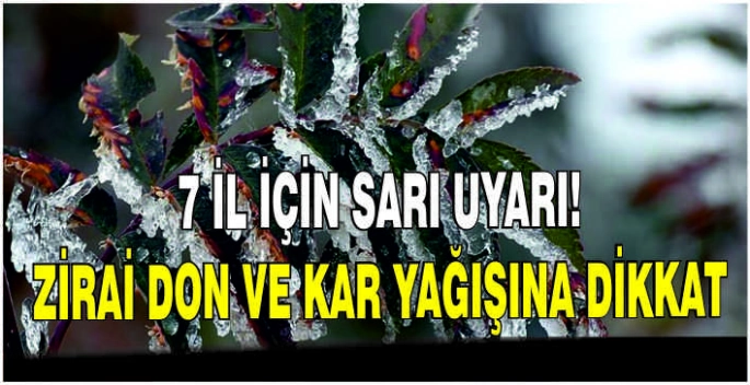 7 il için sarı uyarı: Zirai don ve kar yağışına dikkat