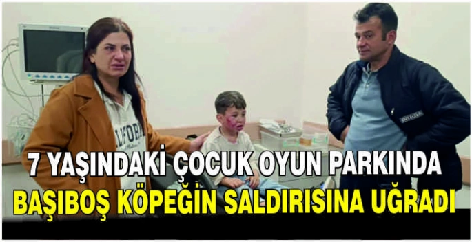 7 yaşındaki çocuk oyun parkında başıboş köpeğin saldırısına uğradı