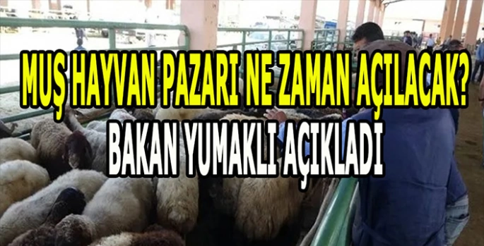 8 ilde hayvan pazarları açılıyor: Gözler Muş’ta!