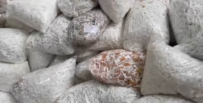 Adana'da 22 milyon 500 bin makaron ele geçirildi