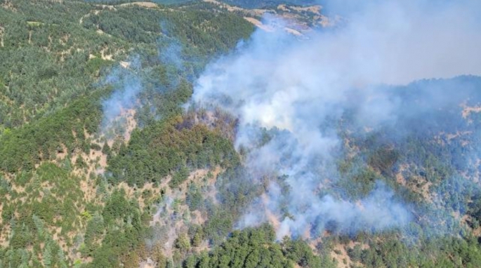 Adana'da orman yangını