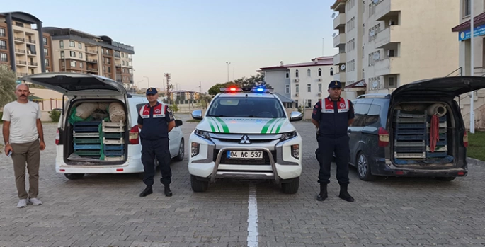 Ağrı'da ele geçirilen 240 kilogram kurbağa doğaya bırakıldı
