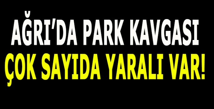 Ağrı’da park kavgası: Çok sayıda yaralı var!