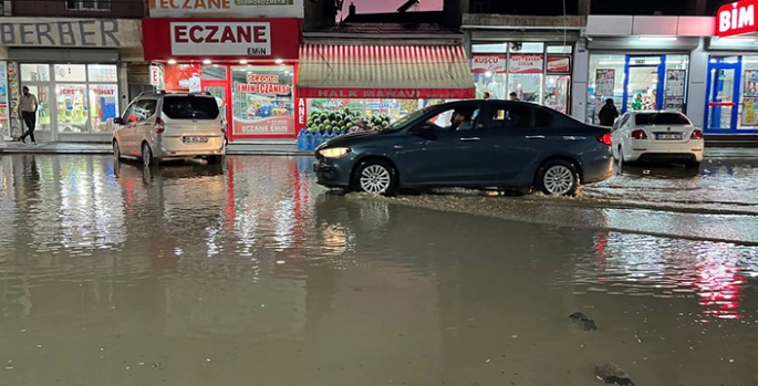 Ağrı'da sağanak yağış etkili oldu