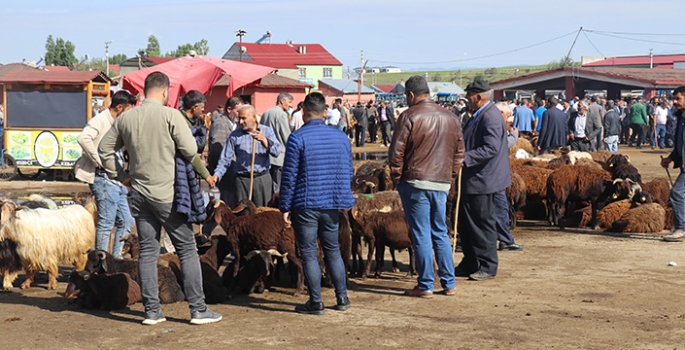 Ağrı Hayvan Borsası'nda Kurban Bayramı yoğunluğu 
