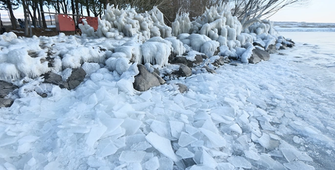 Ağrı, Kars ve Ardahan'da sulak alanlar buz tuttu, ağaçları kırağı kapladı