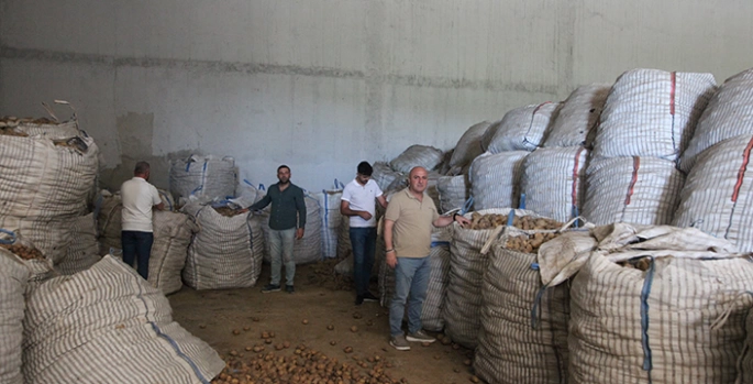 Ahlatlı çiftçiler patates alımı için destek istiyor