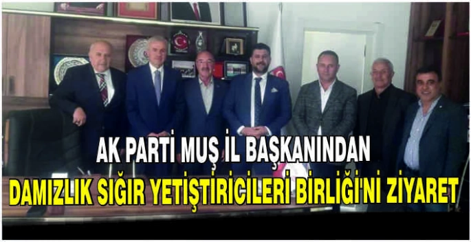 AK Parti Muş İl Başkanından Damızlık Sığır Yetiştiricileri Birliği'ni ziyaret