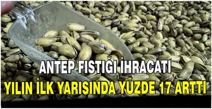Antep fıstığı ihracatı yılın ilk yarısında yüzde 17 arttı