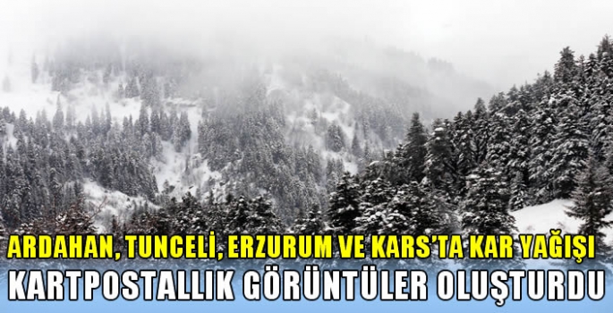 Ardahan, Tunceli, Erzurum ve Kars'ta kar yağışı kartpostallık görüntüler oluşturdu