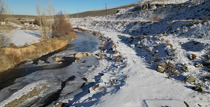 Ardahan ve Ağrı'da nehir ile dereleri buz, ağaçları kırağı kapladı