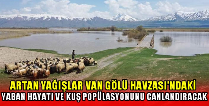 Artan yağışlar Van Gölü Havzası'ndaki yaban hayatı ve kuş popülasyonunu canlandıracak