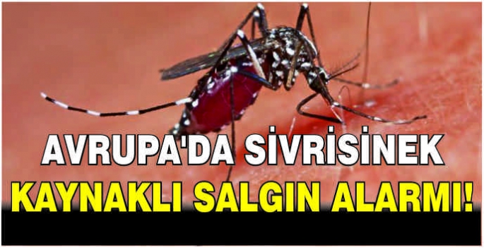 Avrupa'da sivrisinek kaynaklı salgın alarmı