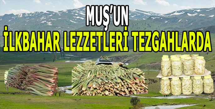 Aylardır bekleniyordu: Muş’un ilkbahar lezzetleri tezgâhlarda