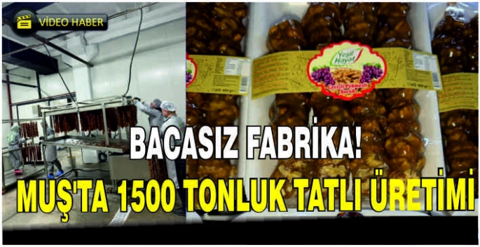Bacasız fabrika: Muş’ta 1500 tonluk lokum üretimi