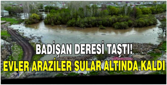 Badişan deresi taştı! Evler araziler sular altında kaldı