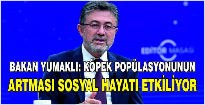 Bakan Yumaklı: Köpek popülasyonunun artması sosyal hayatı etkiliyor