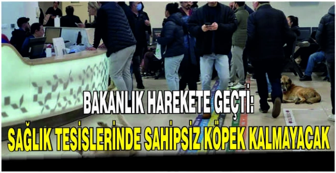 Bakanlık harekete geçti: Sağlık tesislerinde sahipsiz köpek kalmayacak