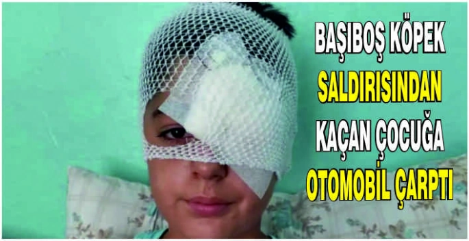 Başıboş köpek saldırısından kaçan çocuğa otomobil çarptı