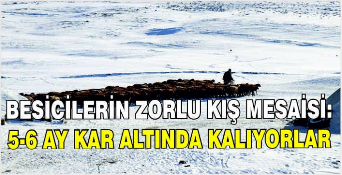 Besicilerin zorlu kış mesaisi: 5-6 ay kar altında kalıyorlar