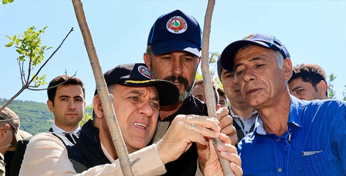 Bingöl'de 3 bin 561 menengiç ağacına fıstık aşısı yapıldı