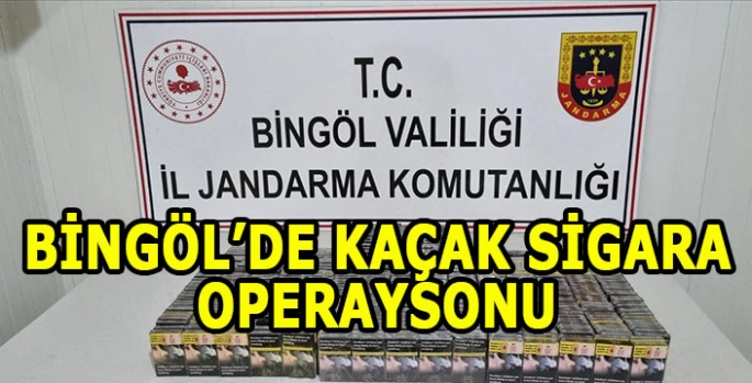 Bingöl'de 500 paket kaçak sigara ele geçirildi