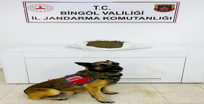Bingöl'de 7 kilo 683 gram esrar ele geçirildi