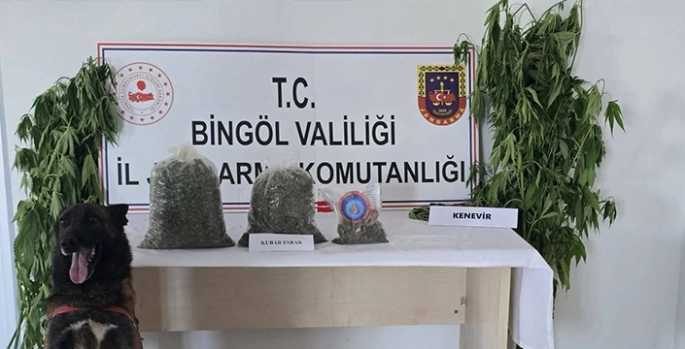 Bingöl'de 9 kilo 38 gram uyuşturucu ve 279 kök Hint keneviri ele geçirildi