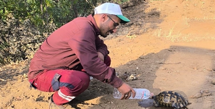 Bingöl'de çıkan orman yangınları kontrol altına alındı