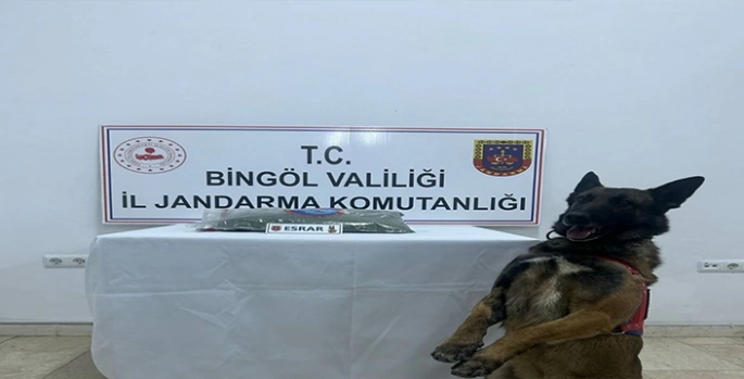 Bingöl'de haklarında arama kaydı bulunan 8 şüpheli yakalandı