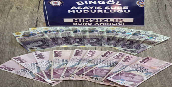 Bingöl'de hırsızlık zanlısı tutuklandı