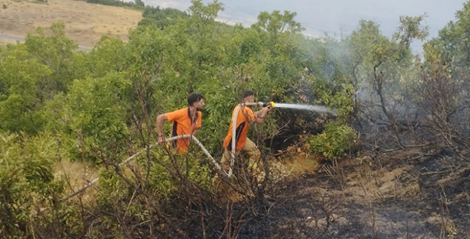 Bingöl'de ormanlık alanlarda çıkan yangın söndürüldü