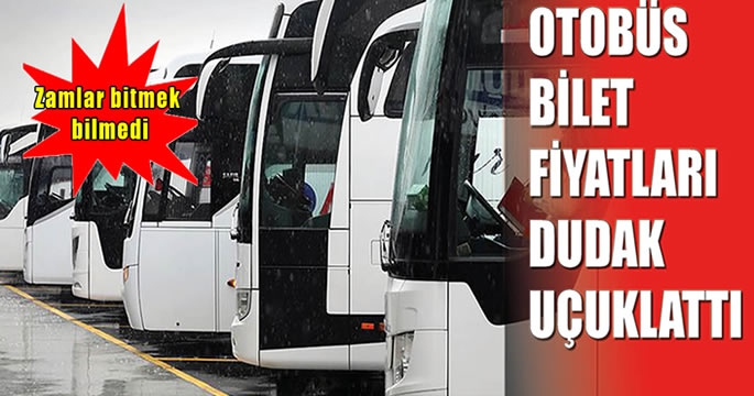 Bir zam daha geldi… Muş’ta şehirlerarası otobüs bileti fiyatları yeniden güncellendi!