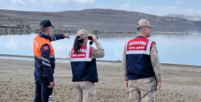 Bitlis'te jandarma inci kefalini korumak için çalışma başlattı