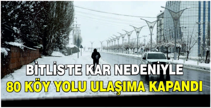 ​Bitlis'te kar nedeniyle 80 köy yolu ulaşıma kapandı