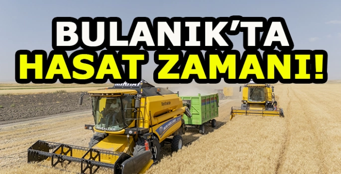 Bulanık’ta hasat zamanı: Kaymakam Koşansu buğday hasadına katıldı