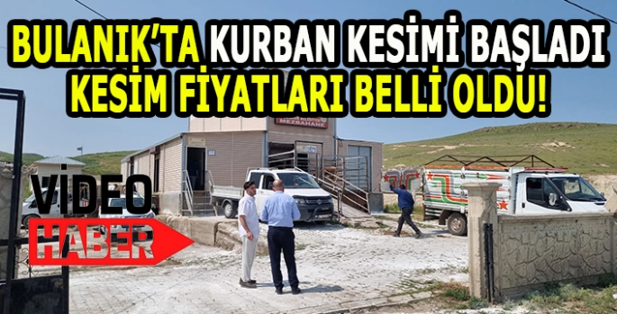 Bulanık’ta Kurban kesimi başladı: Kurban kesim fiyatları belli oldu!