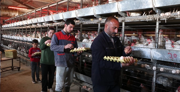 Çadırda başladığı yumurta üretimini tesiste sürdüren girişimci talebe yetişemiyor