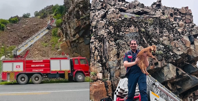 Çukurca'da kayalıklarda mahsur kalan oğlak itfaiye ekibince kurtarıldı