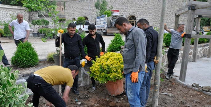 Çukurca'da yeşil alan ve ağaçlandırma çalışmaları sürüyor