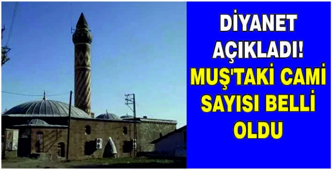 Diyanet açıkladı! Muş’taki cami sayısı belli oldu