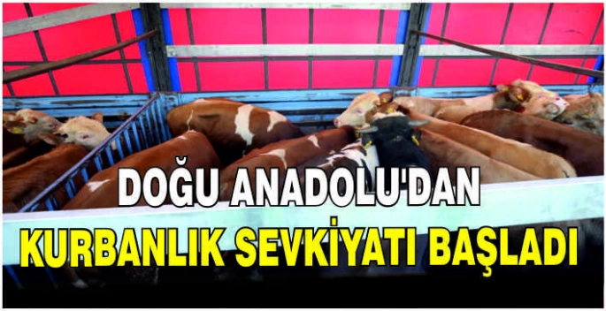 Doğu Anadolu'dan kurbanlık sevkiyatı başladı