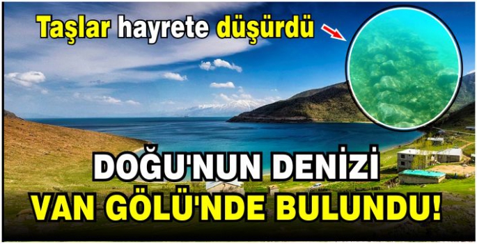 Doğu’nun denizi olarak tabir edilen Van Gölü'nde bulunan taşlar hayrete düşürdü