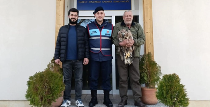 Elazığ'da jandarmanın bulduğu yaralı kaya kartalı tedavi altına alındı