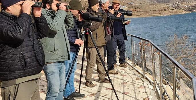 Elazığ'da kış ortası su kuşu sayımına başlandı