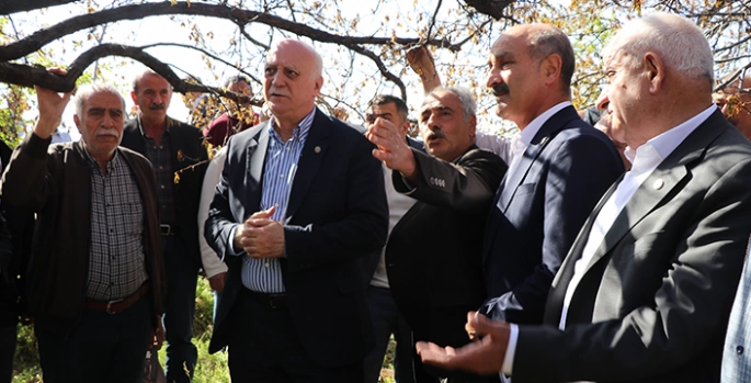 Elazığ'da zirai dondan etkilenen bahçeleri inceledi 