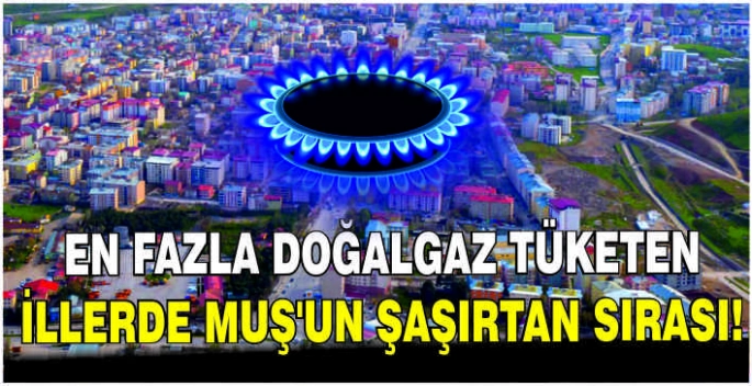 En fazla doğalgaz tüketen illerde Muş’un şaşırtan sırası!